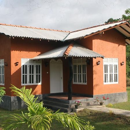 Ritigala Lodge Хабарана Экстерьер фото
