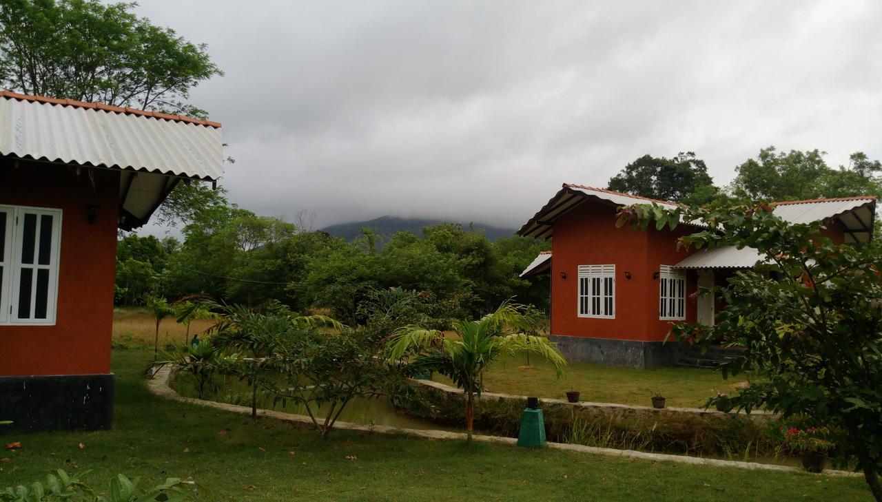 Ritigala Lodge Хабарана Экстерьер фото