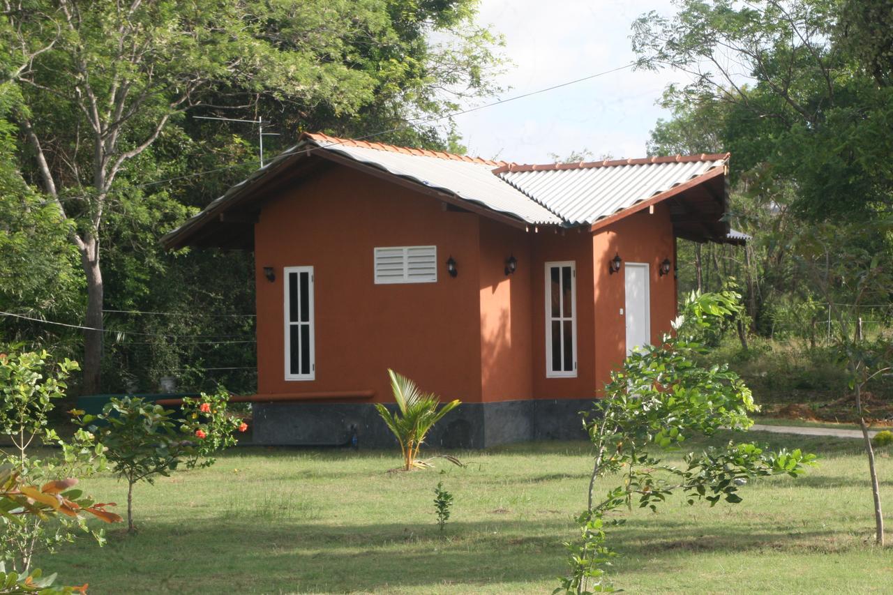 Ritigala Lodge Хабарана Экстерьер фото